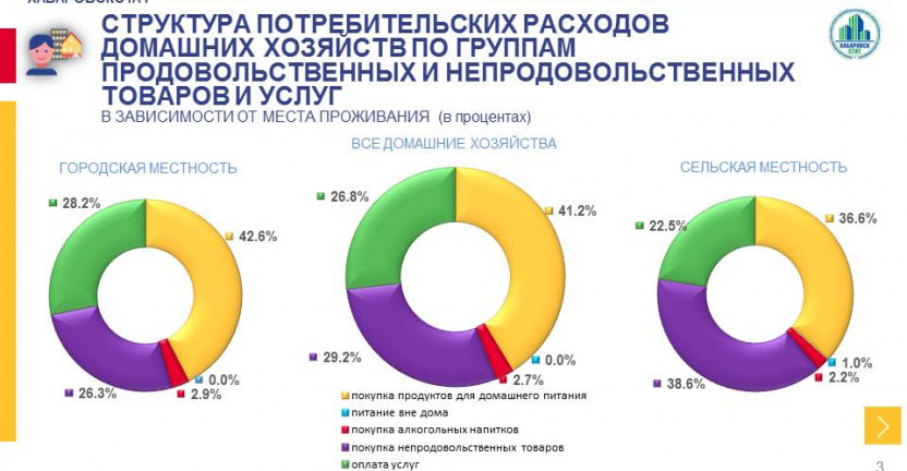 Материалы выборочного обследования бюджетов домашних хозяйств Чукотского автономного округа за 2020 год