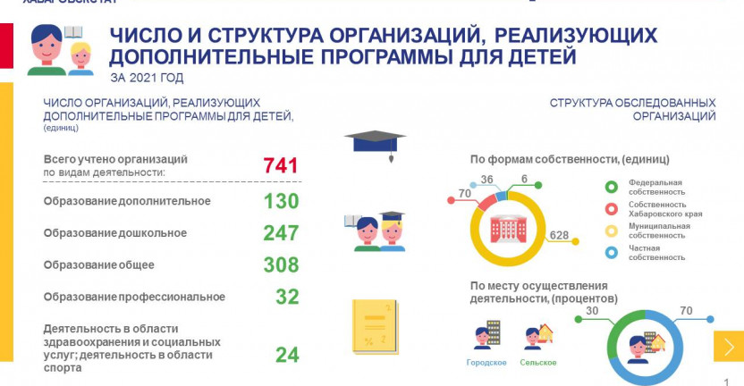 О дополнительном образовании детей в Хабаровском крае в 2021 году