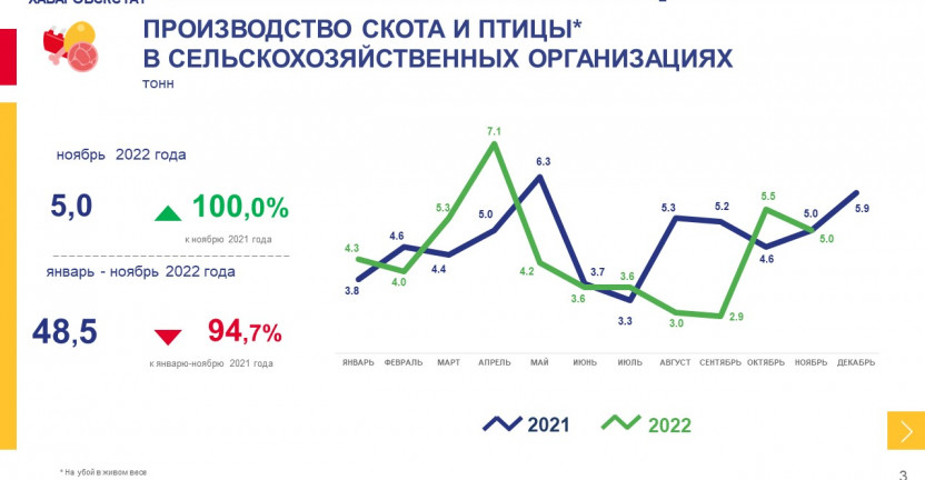 Сельское хозяйство в Еврейской автономной области за январь – ноябрь 2022 года