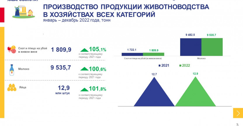 Сельское хозяйство в Еврейской автономной области за январь – декабрь 2022 года