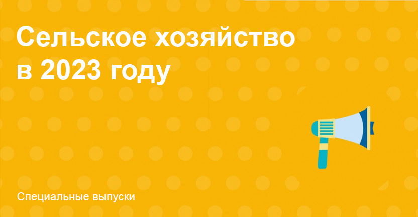 Сельское хозяйство в Хабаровском крае в 2023 году